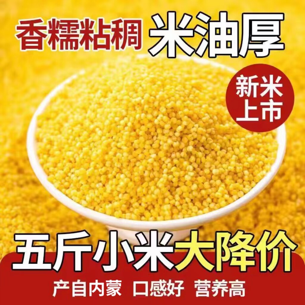 内蒙金苗小米50斤新鲜优质赤峰黄小米粥米杂粮饭店食堂商用小米