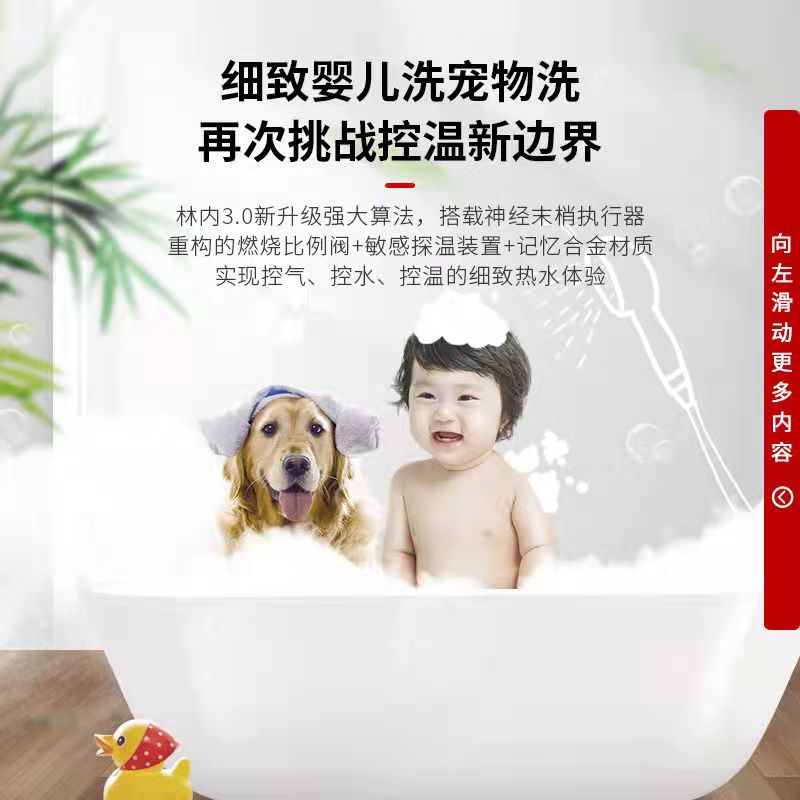 Rinnai/林内 JSQ26-D33W家用天然气燃气热水器13升-图1