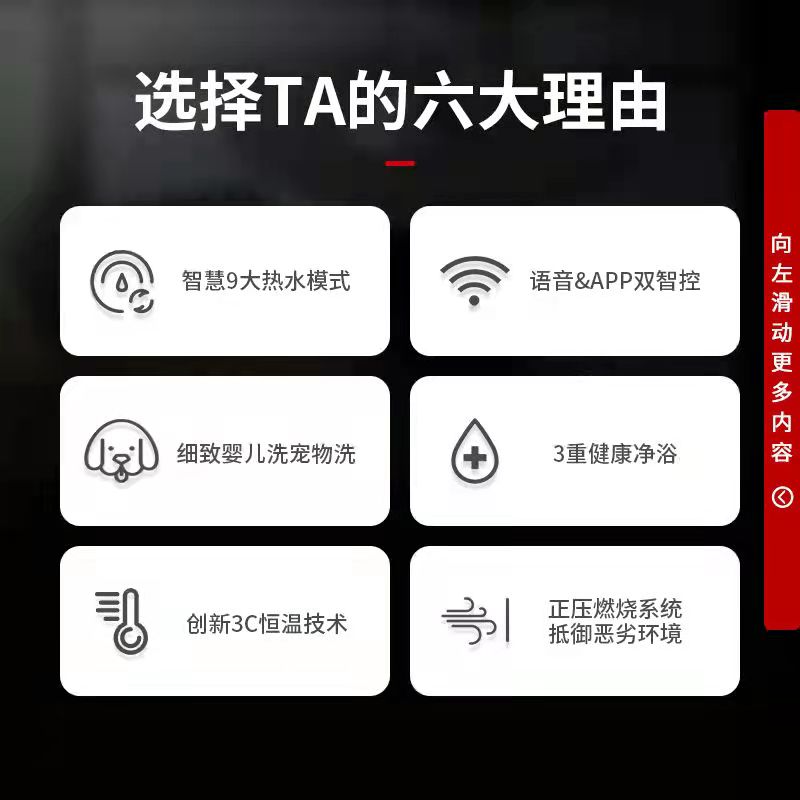 Rinnai/林内 JSQ26-D33W家用天然气燃气热水器13升-图0