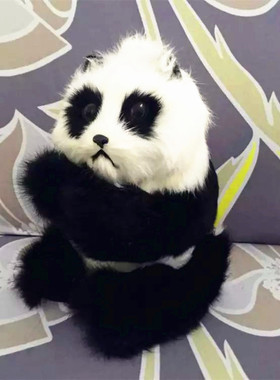 动物模型仿真摄影道具手工艺品