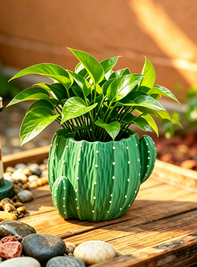 创意仿真仙人掌花盆阳台种植花器