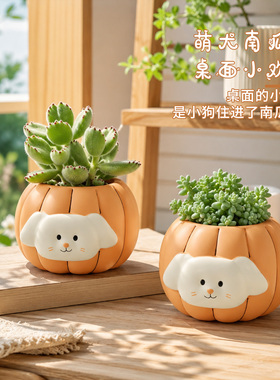 卡通南瓜小狗花盆桌面萌趣小摆件