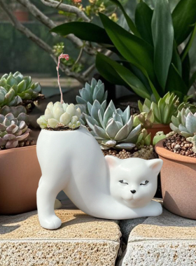创意可爱猫尾巴柱花盆装饰摆件