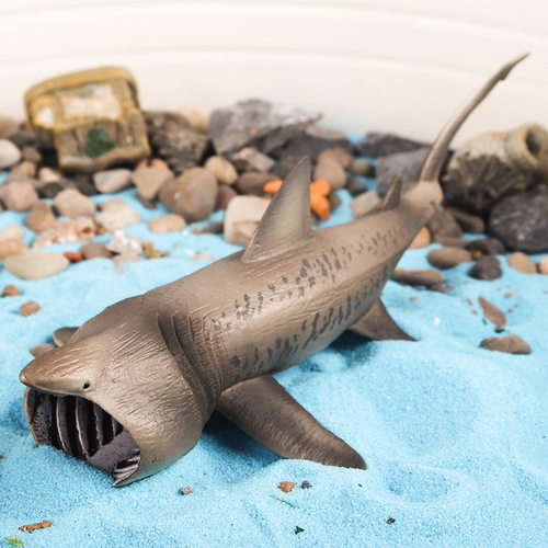 大型鲨鱼滤食性姥鲨蓝鲸鲨巨口鲨弓头鲸儿童认知海洋动物科教玩具 - 图0