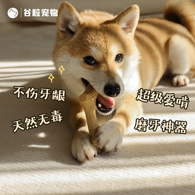 贵为GiGwi木塑鹿角棒磨牙洁齿防拆家中大小型犬益智解闷狗玩具 - 图2