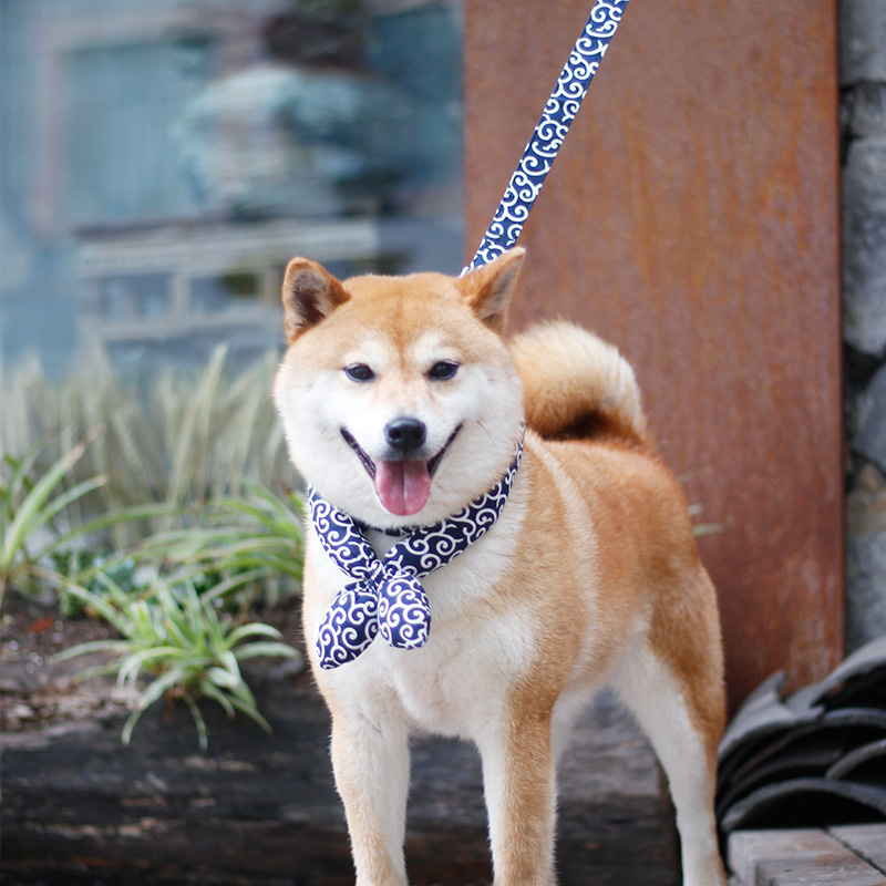 狗狗牵引绳柴犬泰迪柯基外出牵绳日式项圈遛狗绳小中型犬唐草牵引 - 图2