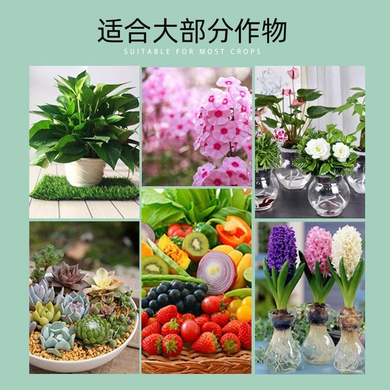 园艺驱虫防虫片除蚜虫蓟马白粉虱盆栽果花卉植物防烂根糖化硼肥片 - 图1