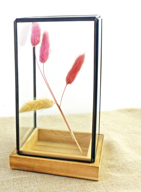 几何苔藓微景观情人节玻璃花房