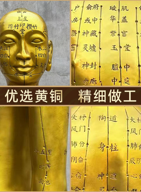 铜之匠针灸铜人体模型