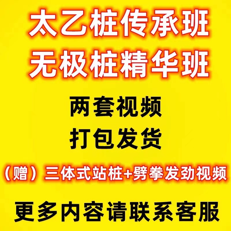 莫子老师无极桩+太乙桩传承班劈拳劲三体式站桩指导全套视频 - 图0