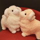 ຂອງແທ້ Dudu woolen plush toy ຫຍ້າຕົມຕົມມ້າ