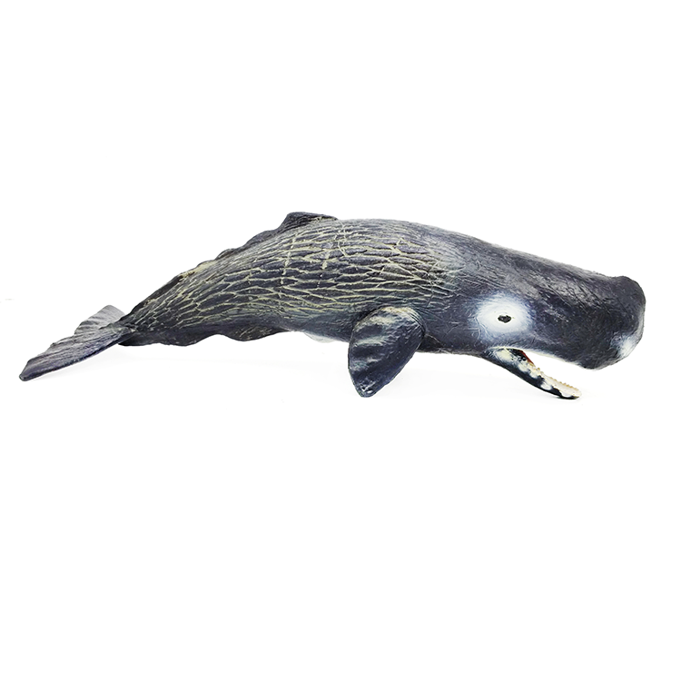 海洋动物仿真实心模型玩具鲨鱼鲸鲨虎鲸海龟锯鳐大白鲨蓝鲸蝠鲼-图0