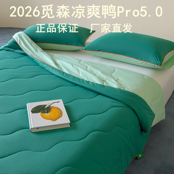 Cool Duck Cool Feeling Quilt Summer Cooling Quilt Ice Silk Air Conditioning Quilt