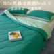 Cool Duck Cool Feeling Quilt Summer Cooling Quilt Ice Silk Air Conditioning Quilt