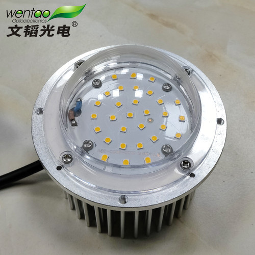 Led光源庭院灯景观灯玉兰灯中华路灯LED模组 防水圆形凸透镜灯芯 - 图2