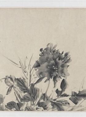 徐渭十二墨画图卷水墨花鸟层p次临摹学习古代名家字画长卷徐文长