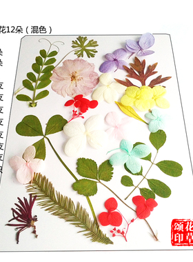 干花书签diy材料永生绣球花瓣化妆面部贴花手工押压花真植物标本