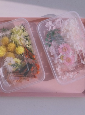 花瓣干花妆仙女脸上森系雏菊美甲