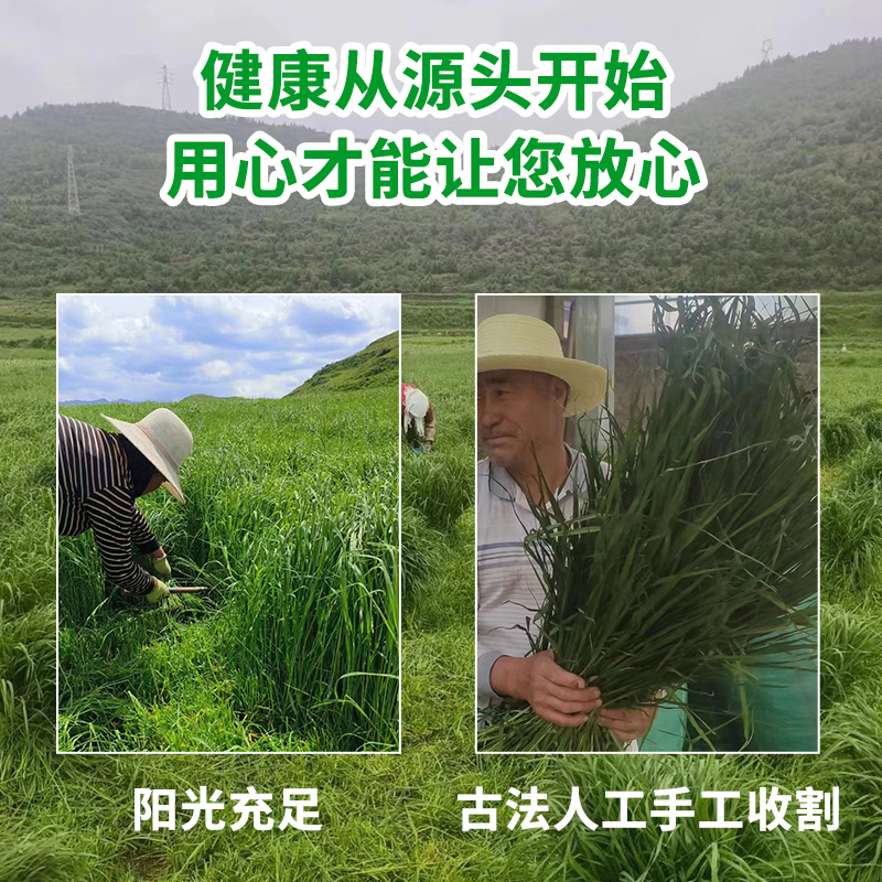 新草烘干提摩西草草段饲料食物兔子荷兰猪龙猫豚鼠草料兔干草牧草 - 图0