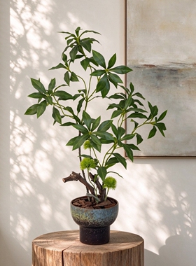 仿真绿植马醉木盆栽客厅玄关茶室桌面盆景侘寂风室内软装假树摆件