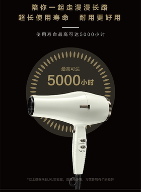 JRL3.5加长大风力发廊造型吹风机