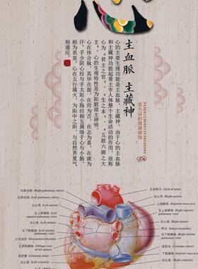 养生理疗中医防水贴诊所装饰图