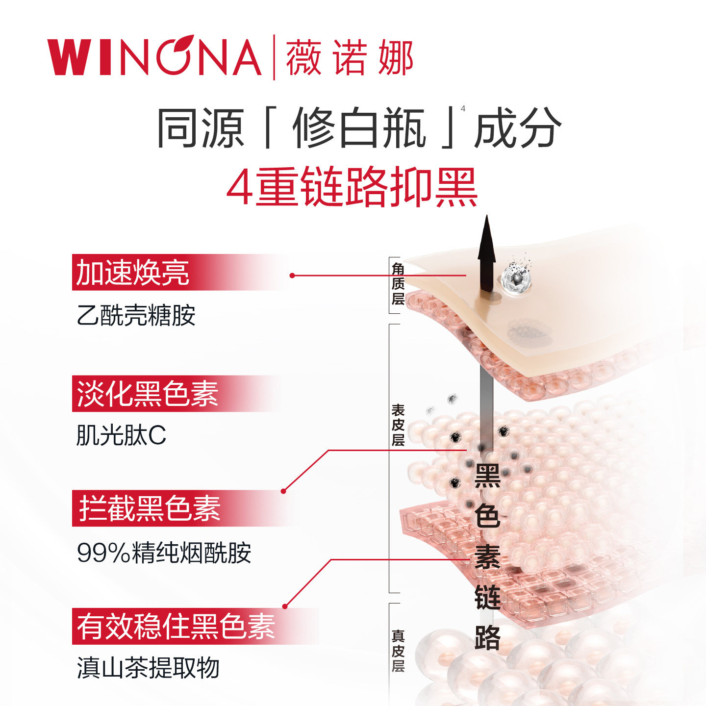 【活动特惠】抢！   薇诺娜光透焕亮修护乳液美白改善暗沉 派样