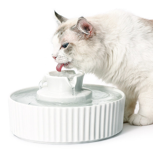 环球蛋糕陶瓷猫咪宠物饮水机猫狗饮喝水器健康活水自环喂水过滤 - 图0