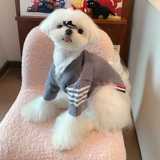 Собака осень и зимний свитер кардиган