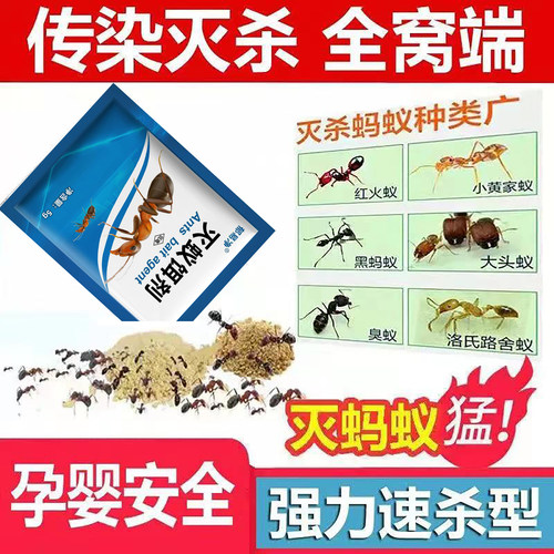 灭蚂蚁药粉一窝端家用非无毒室内厨房花盆菜地野外强效除杀蚁饵剂 - 图2