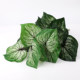 Simulated green plants decorative landscaping leaves pothos sibirica
