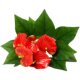 Artificial flower ornaments, potted plants, living room floral arrangements, artificial flowers