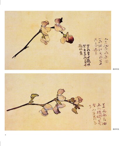 高剑父花鸟动物画谱名家课徒稿临本岭南画派国画山水花鸟动物人物创作范图临摹现代国画画法绘画理论梅松鱼写生国画绘画技法教程 - 图0