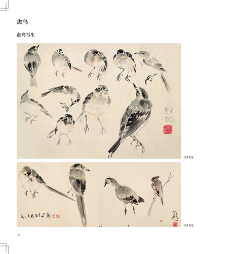 高剑父花鸟动物画谱名家课徒稿临本岭南画派国画山水花鸟动物人物创作范图临摹现代国画画法绘画理论梅松鱼写生国画绘画技法教程 - 图1