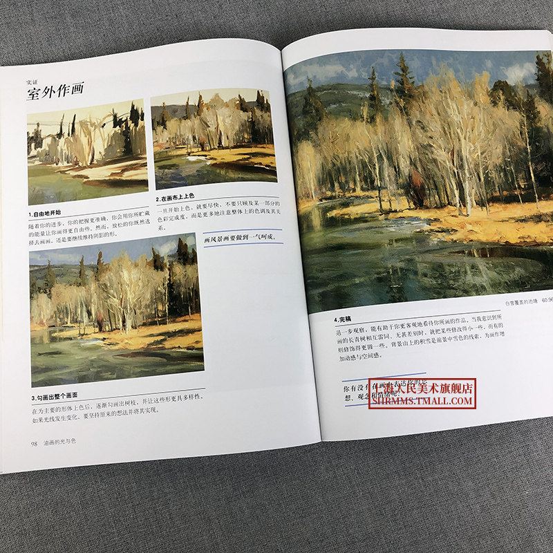 油画的光与色 经典版 风景静物油画写生创作速写光影色彩绘画技法教学大师作品临摹油画初学入门基础油画大师自学课教程教材书籍,淘宝优惠券,粉丝福利购,淘宝优惠卷