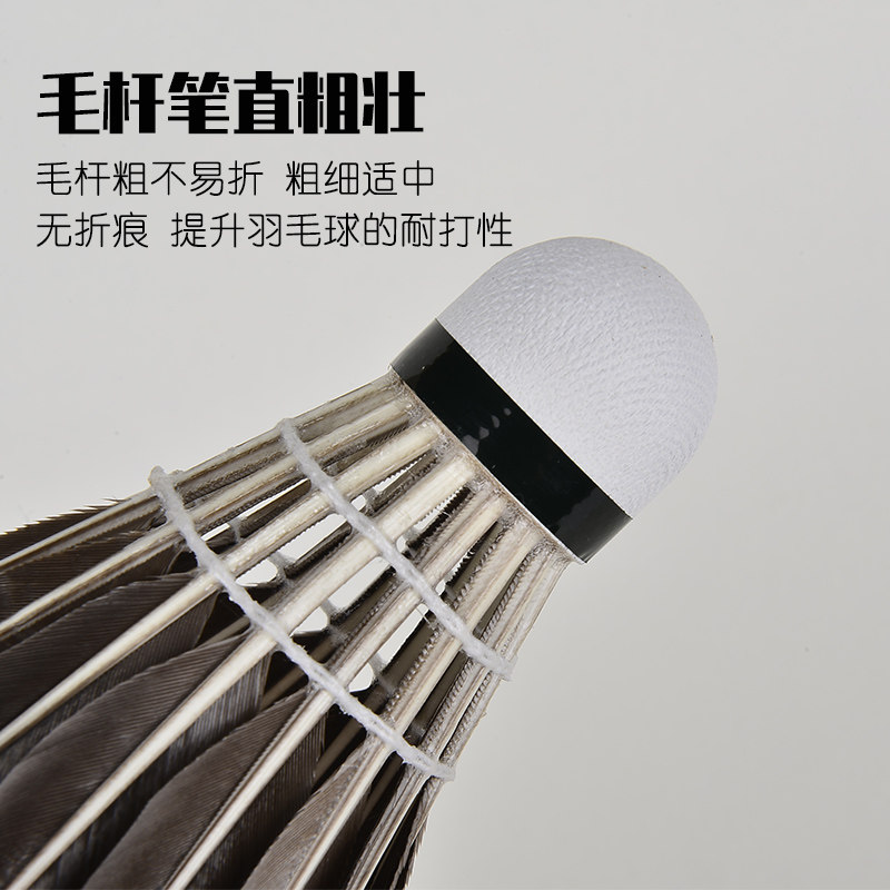 黑羽毛球6只12只装比赛训练鹅毛 polyplay羽毛球