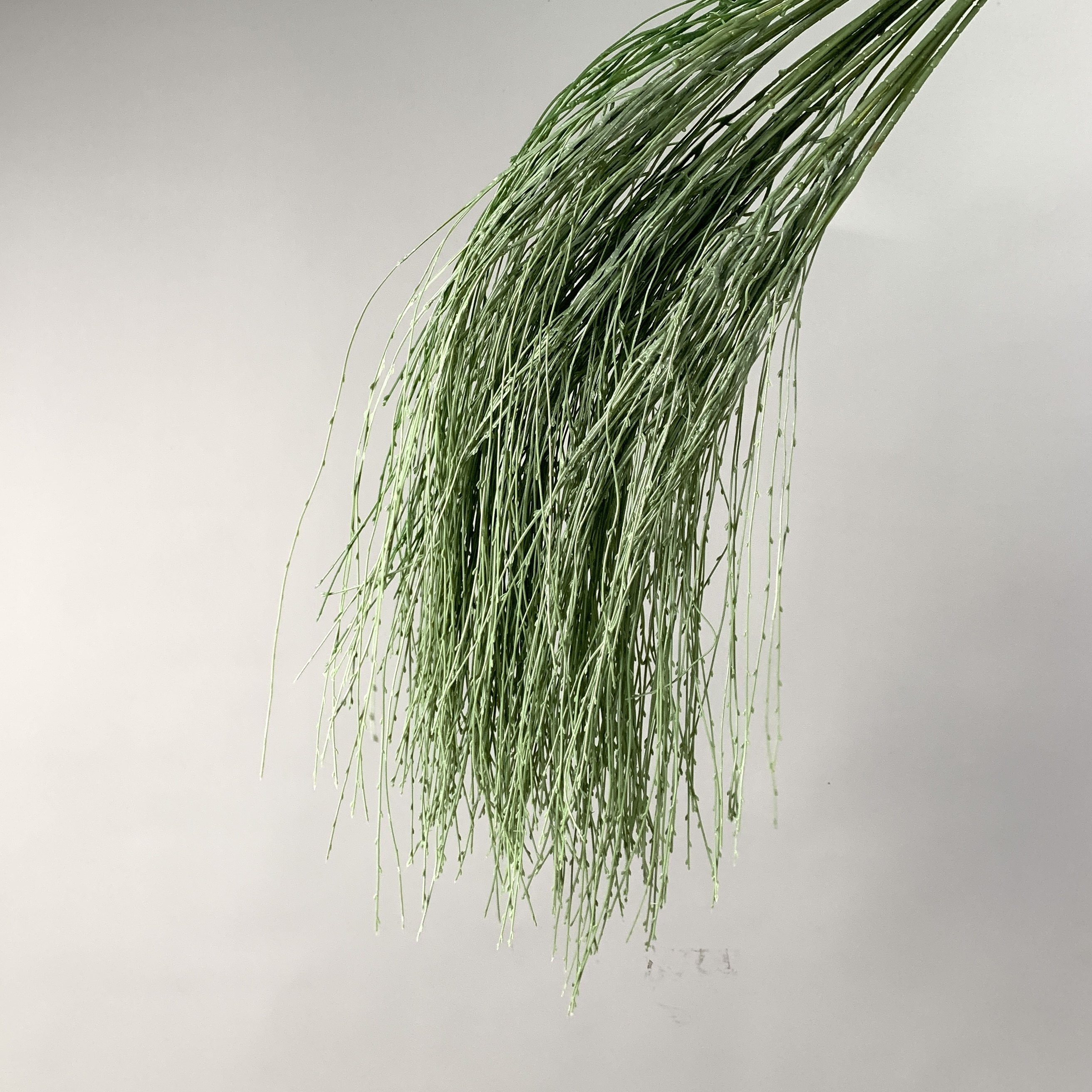 绿色仿真花假花森系仿真绿植龙须草婚庆绢花婚礼周岁造景插花地排,淘宝优惠券,粉丝福利购,淘宝优惠卷