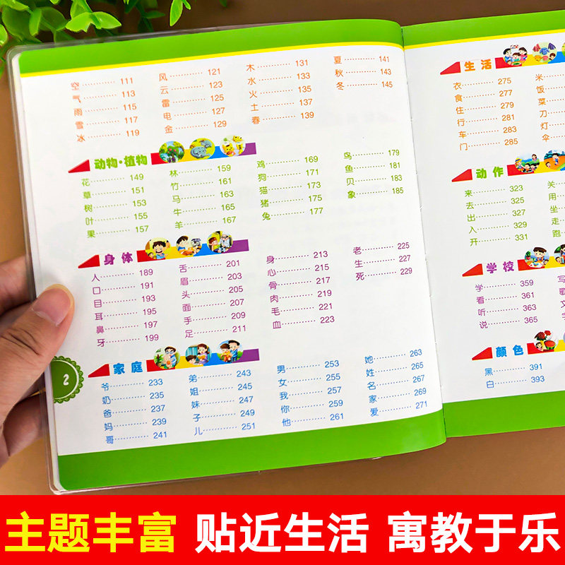 幼儿识字神器儿童学前认字启蒙教材2岁3 4 6岁婴儿早教书籍象形识字大王幼儿园宝宝益智学习绘本卡片大全一年级看图识字书全套两岁