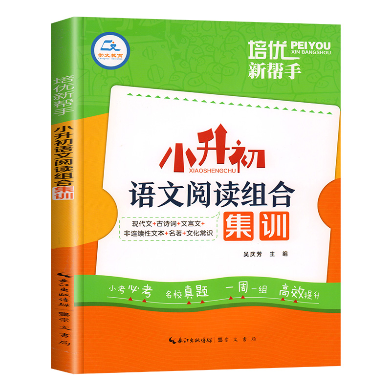 小升初语文阅读理解专项训练练习题人教版六年级阅读练习文言文组合课外阅读系统总复习强化练习题小学小学生现代文古诗文课外 - 图2