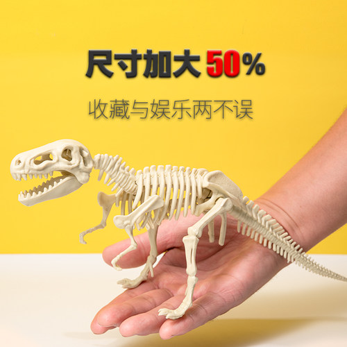 恐龙化石考古挖掘玩具男女孩儿童宝石手工diy霸王龙拼装骨架模型 - 图2