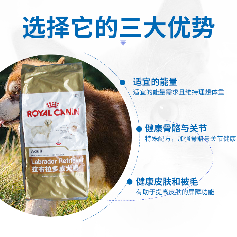 宠物 法国皇家狗粮拉布拉多成犬粮12kg/3kg*4小包 LR30 干粮包邮 - 图1