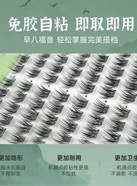 100簇大容量羽扇蔷薇花园免胶胶水假睫毛浓密自然新手