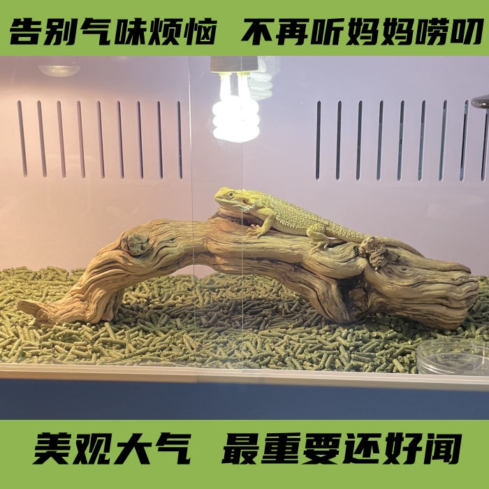 沙漠型爬宠鬃狮蜥蜴活体专用垫材植物颗粒除臭防粉尘吸水防驱球虫 - 图0