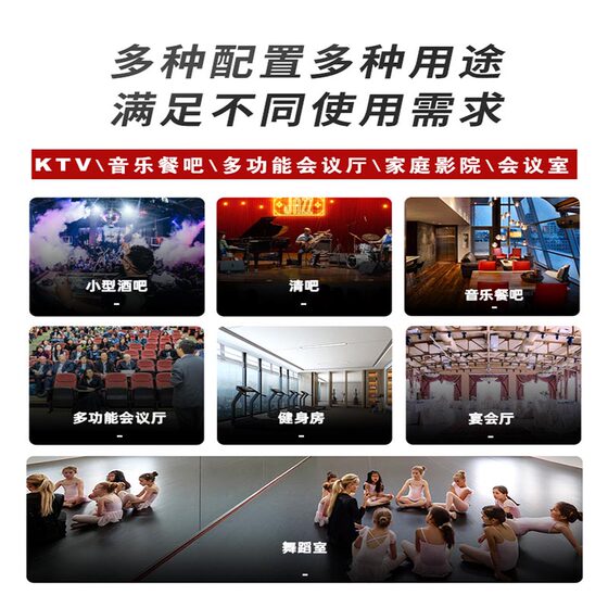 多功能报告厅视频会议室小酒馆家庭别墅小酒馆KTV音响套装全套