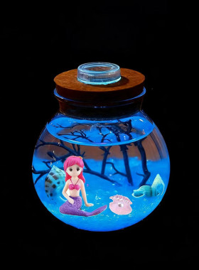 海藻球微景观玻璃水培桌面摆件