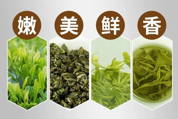 三级2023年涌溪火青绿茶500g普通茶叶袋装绿茶农包邮高山云雾散装