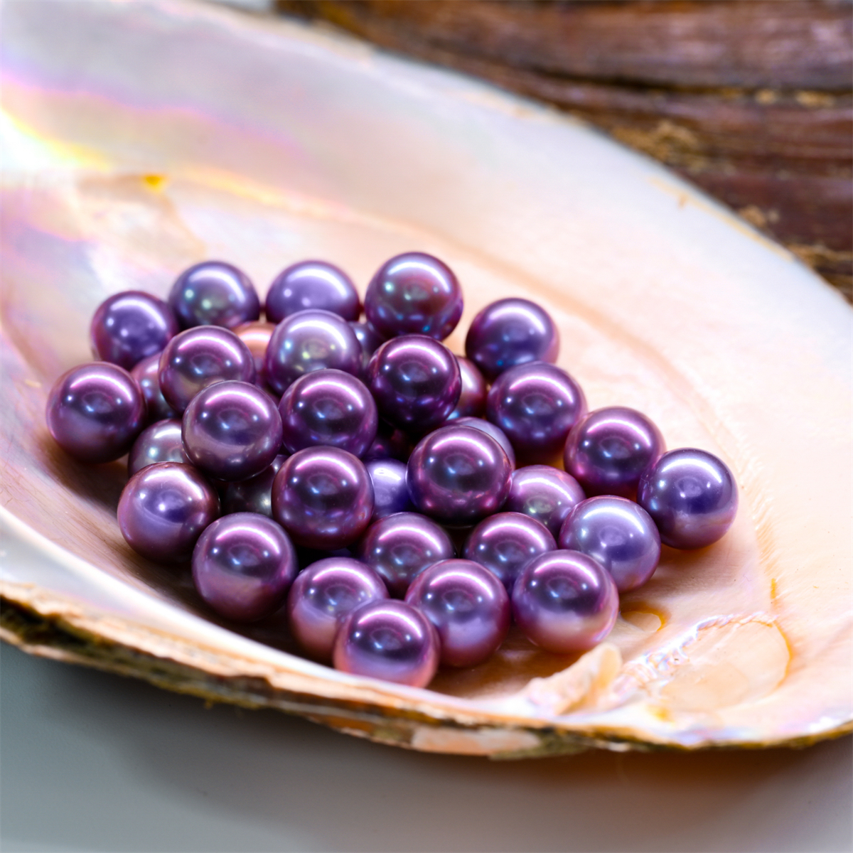 高品质天然淡水海水妖紫爱迪生鲜活珍珠蚌直播现开大点位diy包邮