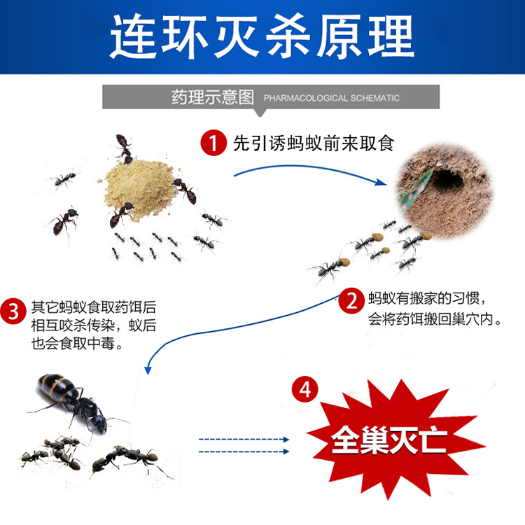 山甲杀蚂蚁药家用除灭黑红黄小蚂蚁全窝端净户外蚂蚁杀虫剂 - 图0