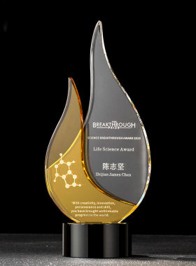 绿色水晶奖杯奖牌定制领导退伍环保慈善纪念品定制萌芽创意K9红色