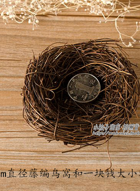 zakka1个网店拍摄影淘宝摆件